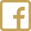 Social icon 3