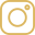 Social icon 1